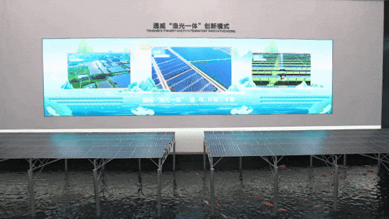 e656423ca5e575bfd50d223f063fe4ef.gif e656423ca5e575bfd50d223f063fe4ef.gif